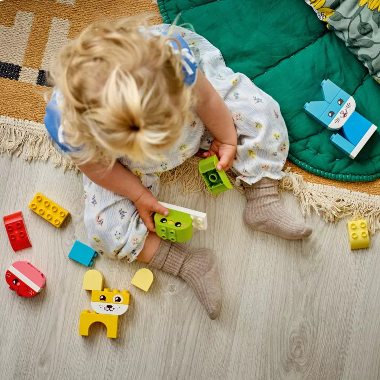 LEGO® Duplo Kreatywne zwierzaki 3w1 10477