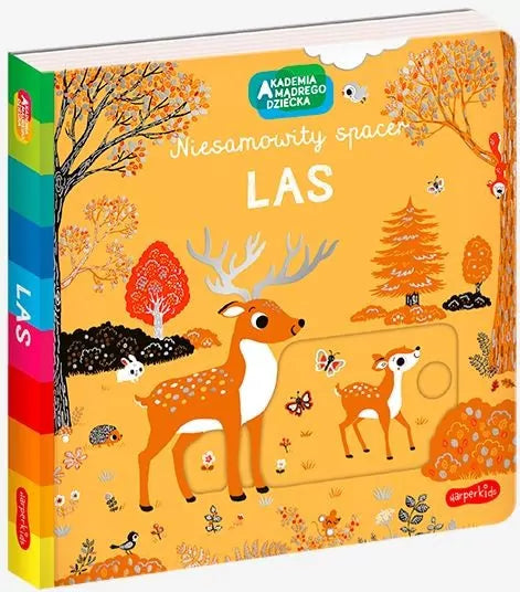 Las. Niesamowity spacer. Akademia Mądrego Dziecka